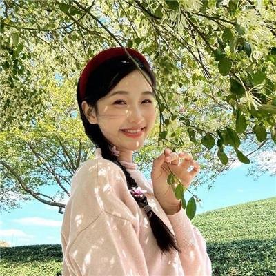 夺宝记