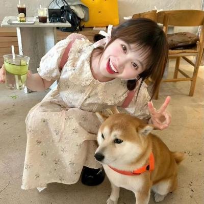 红狐